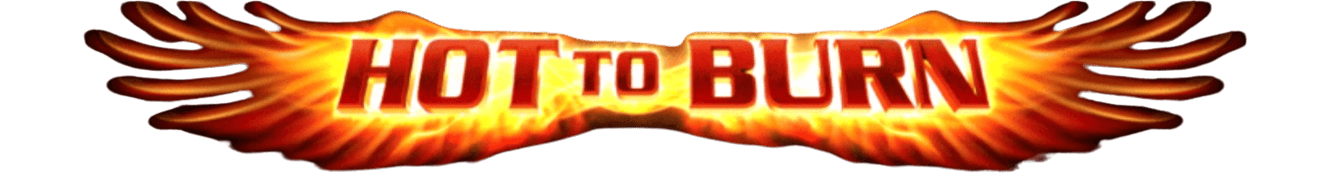 Hot to Burn Logo